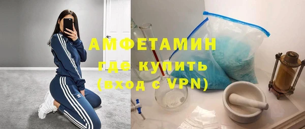 прущие грибы Заволжье