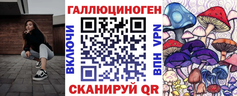 купить наркотик  ссылка на мегу как зайти  Галлюциногенные грибы GOLDEN TEACHER  Советск 
