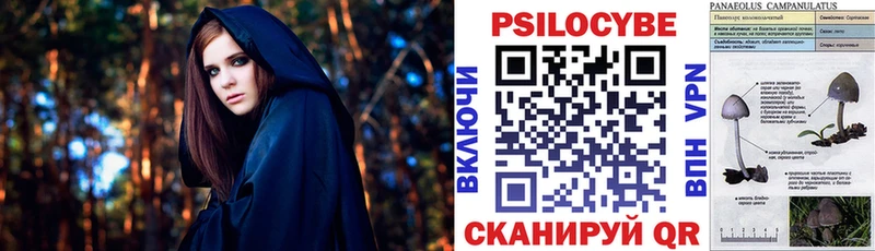 Псилоцибиновые грибы прущие грибы Советск