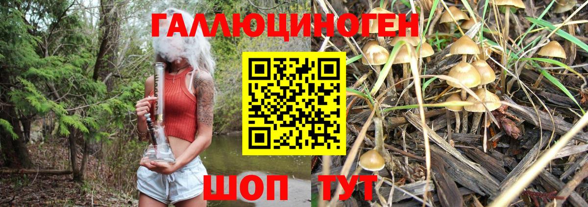 Псилоцибиновые грибы GOLDEN TEACHER  Псилоцибиновые грибы Cubensis  Советск  Вход с VPN 