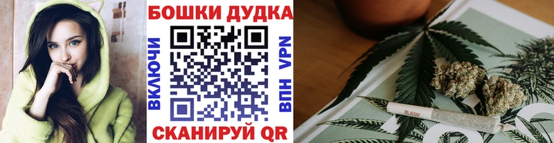 Конопля AK-47  shop Telegram  Советск  MEGA ссылка 
